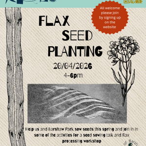 Monthly garden days, help us plant and nourish Flax and natural dyes @ Friends of Barshaw park Monday 20th April 4-6pm